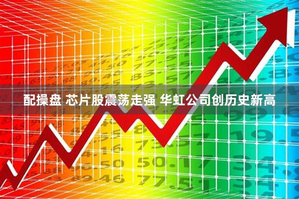 配操盘 芯片股震荡走强 华虹公司创历史新高